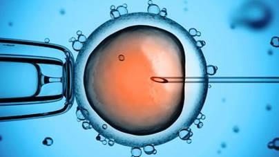 Illustration for the Stem Cell Research press release