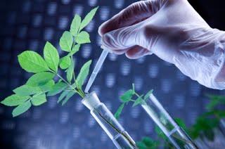 Illustration for the Biotechnology press release